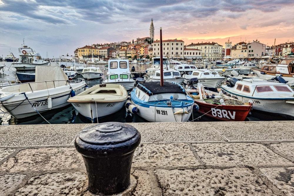 Rovinj City Studios Dış mekan fotoğraf